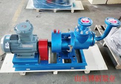 YHQ型液化石油氣螺杆泵